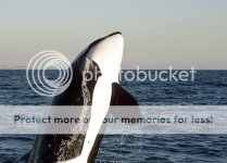 AbreachDSC_1022800.jpg