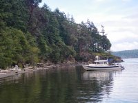 IMGP3780.jpg