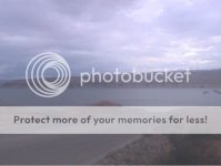 Bullfrogramp3_zps301fcdb3.jpg