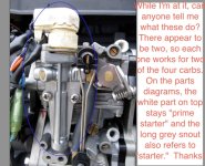 carbs_2_annotated.jpg