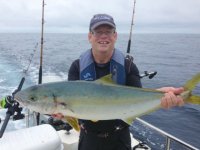 Yellowtail.sized.jpg