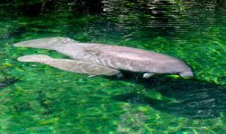 DSC08284-M.jpg