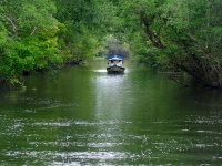 DSC00242-L.jpg