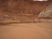 IMG_0172.sized.jpg