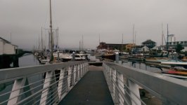 IMAG0186.sized.jpg