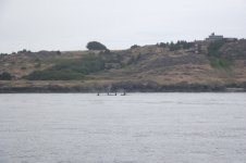 DSCF0033.jpg