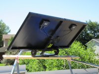 IMG_0247.sized.jpg