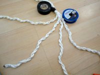 2_separate_4_double_strands.sized.jpg
