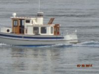 DSC00433.jpg