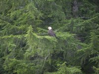 DSCN1218.sized.jpg