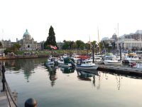 20140822_193638.sized.jpg