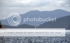 SailboatSilhouettes_zps763e10d3.jpg