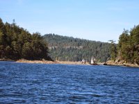 IMG_0366.jpg