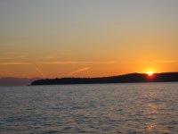 IMG_0370.jpg