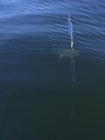 photo_2_1.sized.jpg