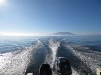 09_28_14_San_Juans_26_Orcas_to_Lummi.sized.jpg 09_28_14_San_Juans_26_Orcas_to_Lummi.sized.jpg