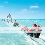 SantaDolphins_zps48ac2d19.jpg