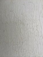 IMG_1903.sized.jpg