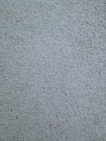 IMG_7703.sized.jpg