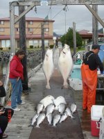 Sitka_2009_01.jpg