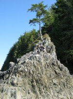IMG_0874.jpg
