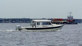 DSC09788-M.jpg
