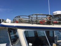 IMG_0724.sized.jpg