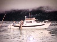IMG_3382.jpg