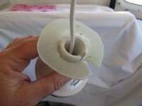 IMG_0470.jpg