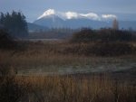January_2010_834.thumb.jpg
