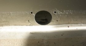 IMG_6236.jpg