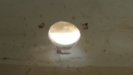 IMG_6237.jpg