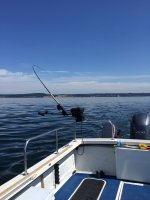 IMG_0913.jpg