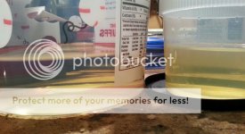 20160607_103825-1_zpsb0w9zp6e.jpg