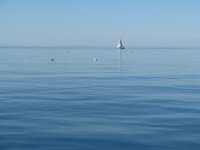 PLI_and_SB_CBGT_2_631.sized.jpg