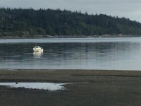IMG_2744.sized.jpg
