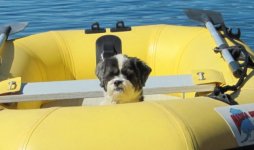 Baxter_in_Dinghy_at_Chuckanut_Bay_6_13_16.sized.jpg