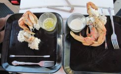 First_Crab_Lunch_Tombolo_Cpve_6_14_16.sized.jpg First_Crab_Lunch_Tombolo_Cpve_6_14_16.sized.jpg