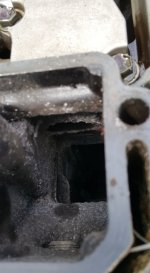 20160908_112010.sized.jpg