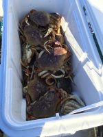 IMG_0356.sized.jpg
