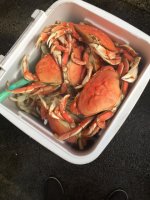IMG_0361.sized.jpg