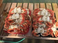 IMG_0365.sized.jpg