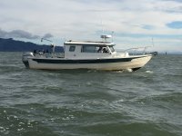 IMG_0575.jpg