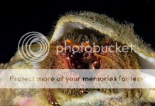 Kevins%20Reef%2015_zps9cml6eom.jpg