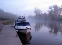 FogMorn1e.jpg