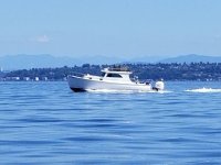 20170715_142835.sized.jpg