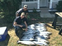 Atlantic_Salmon_2.sized.jpg