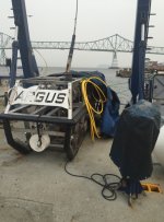 IMG_2133.jpg