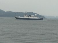 IMG_2155.sized.jpg