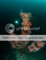 Anchor_ART0178_zps8bf4eht5.jpg